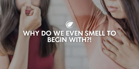 The reasons we smell and how to combat them!