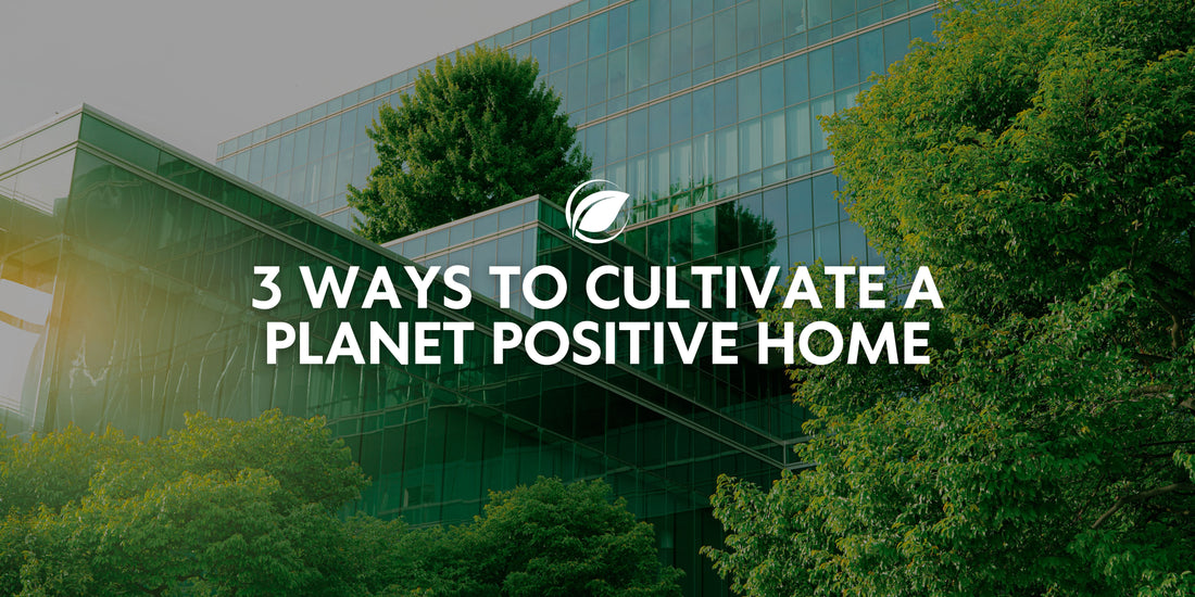 Cultivating a Planet Positive Home
